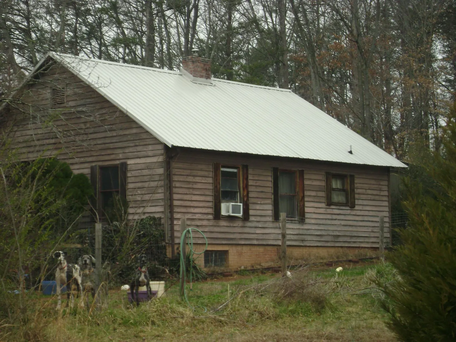 White metal roof on an old wood sided farmhouse, from a Asphalt Shingle Roof Repair job in Kelly